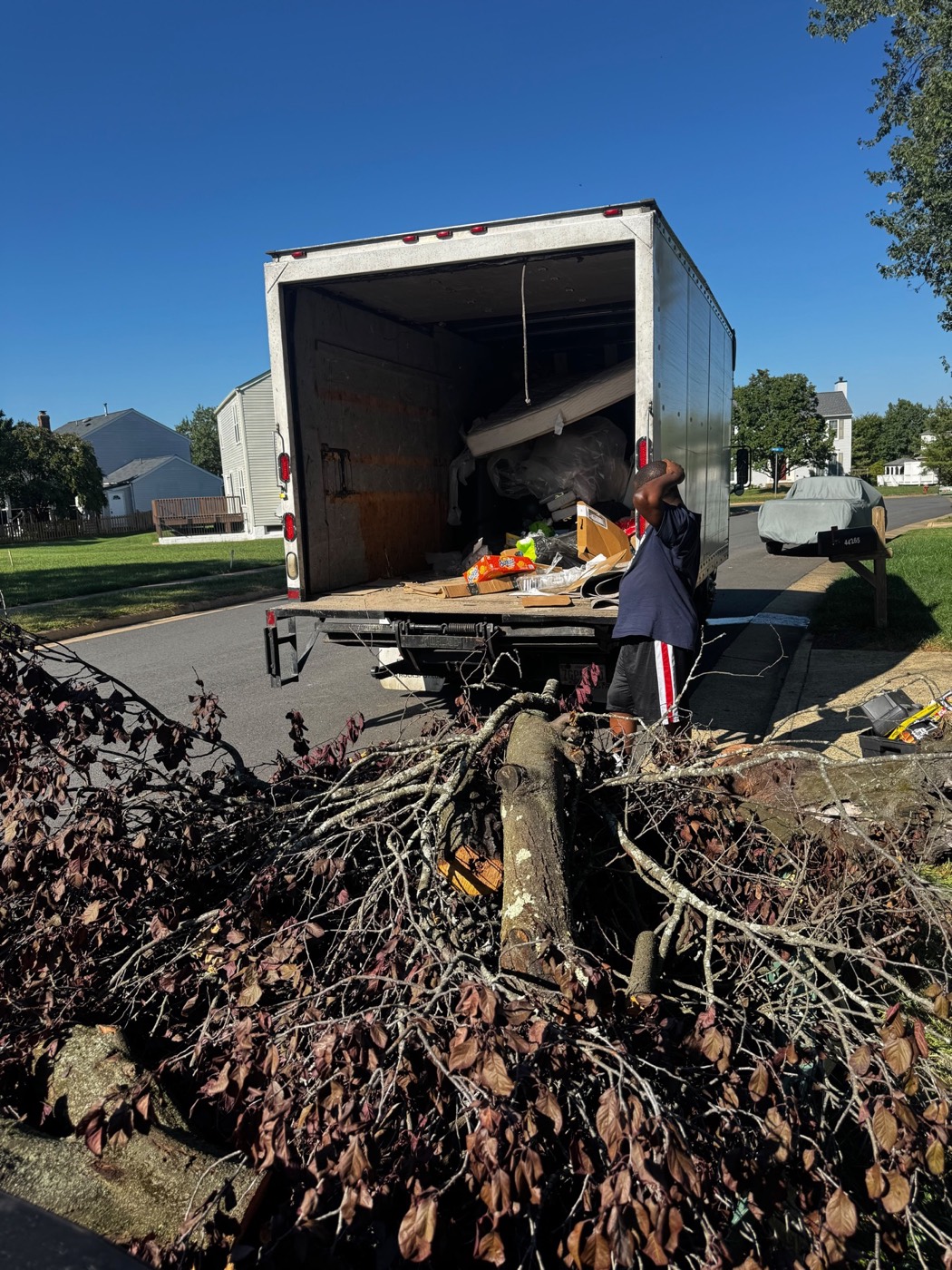 Branch removal